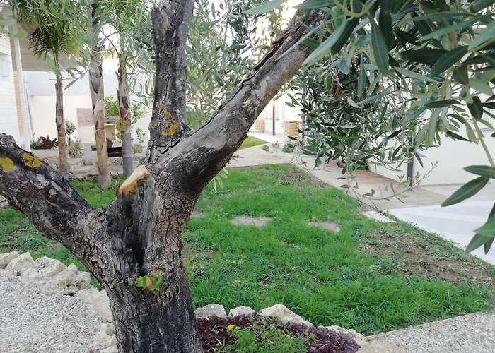 Alojamento de Acomodação e Pequeno-almoço Kairos Agrigento